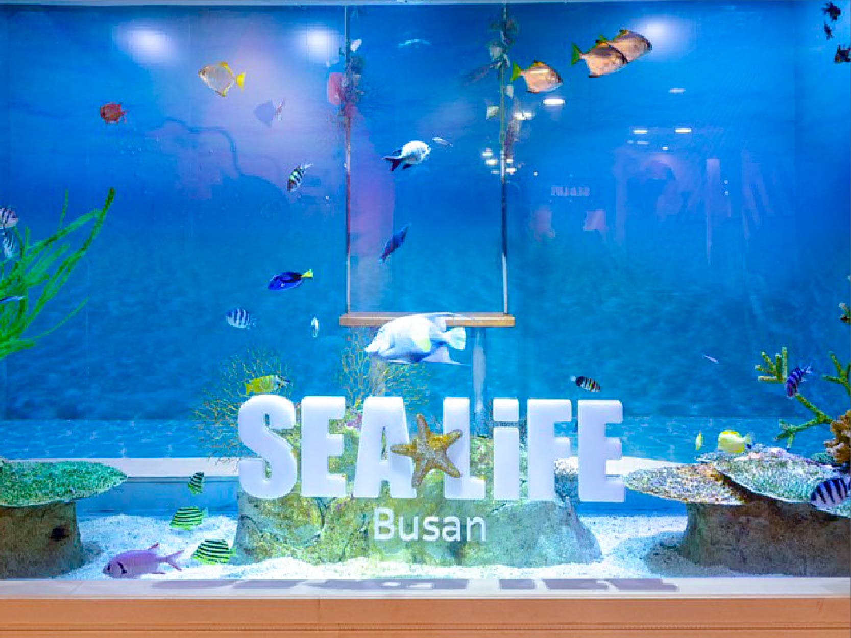 SEA LIFE釜山水族館